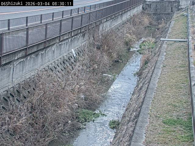 最新監視カメラ画像