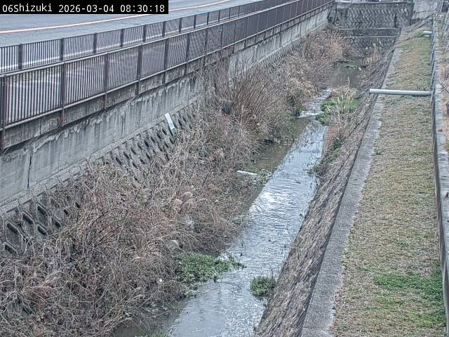 最新監視カメラ画像