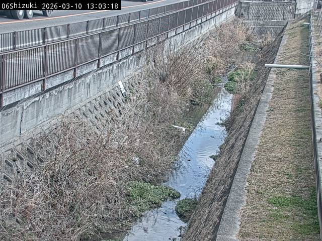 最新監視カメラ画像