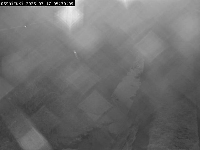 最新監視カメラ画像