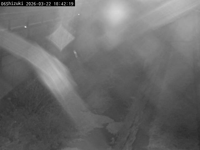 最新監視カメラ画像