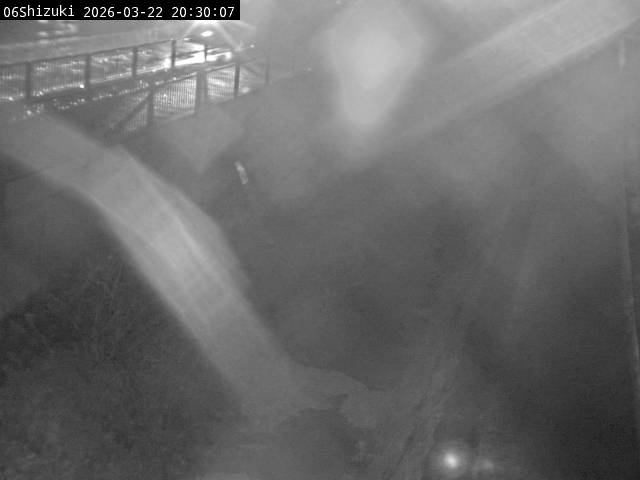 最新監視カメラ画像