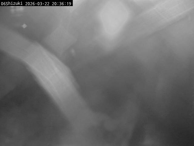 最新監視カメラ画像