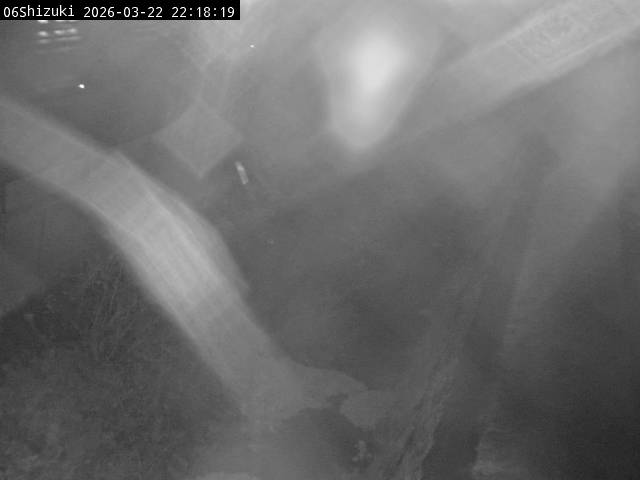 最新監視カメラ画像