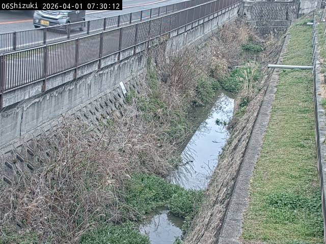 最新監視カメラ画像