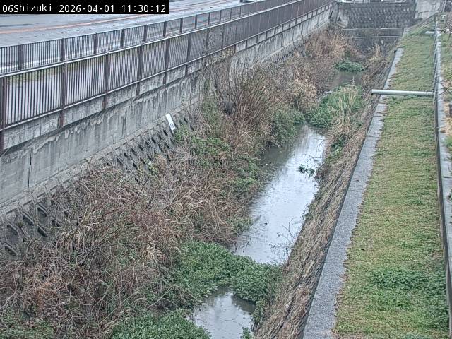 最新監視カメラ画像