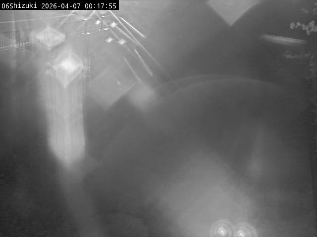 最新監視カメラ画像