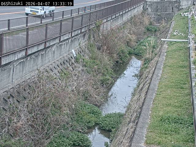 最新監視カメラ画像