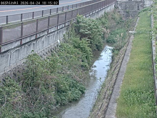 最新監視カメラ画像