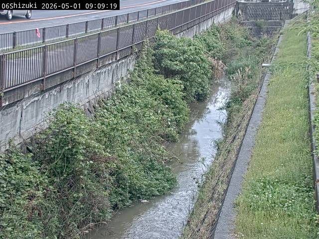 最新監視カメラ画像