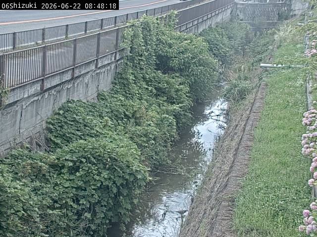 最新監視カメラ画像