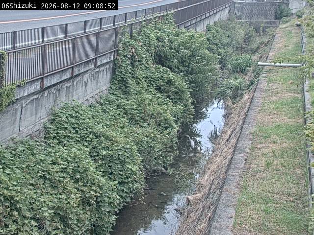 最新監視カメラ画像