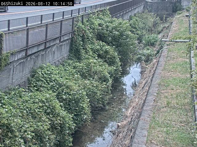 最新監視カメラ画像