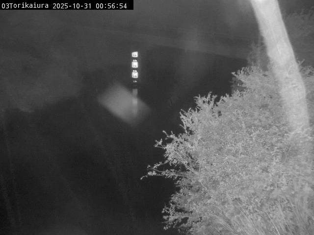 最新監視カメラ画像