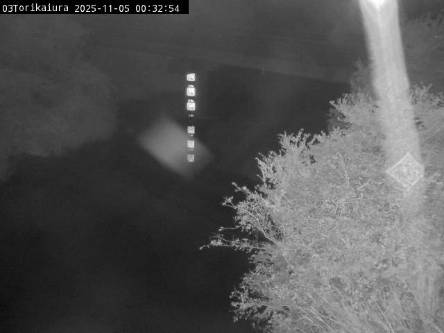 最新監視カメラ画像