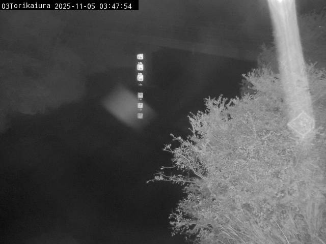 最新監視カメラ画像