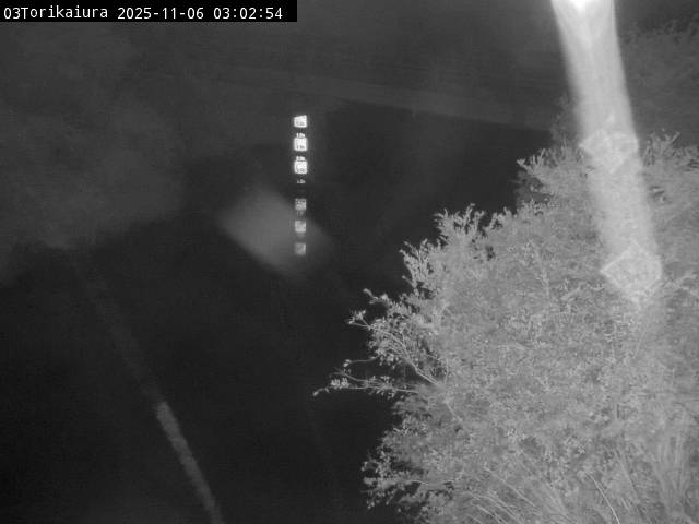 最新監視カメラ画像