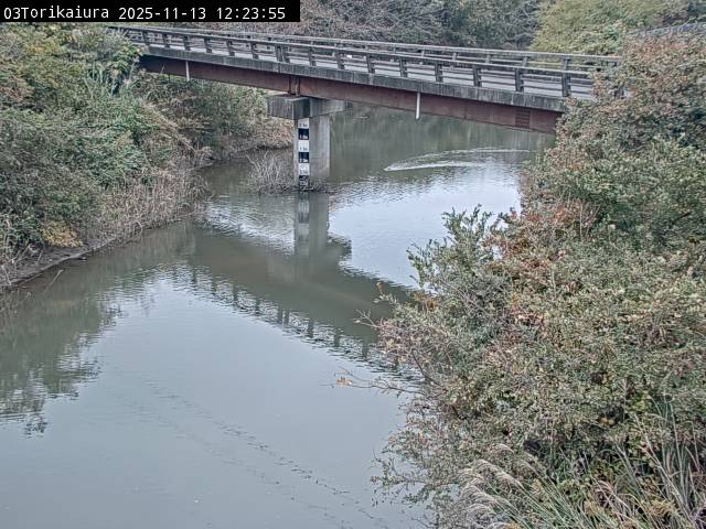 最新監視カメラ画像