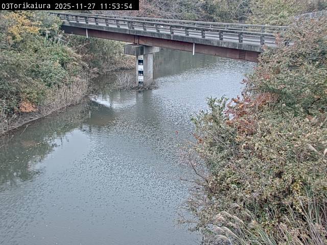 最新監視カメラ画像