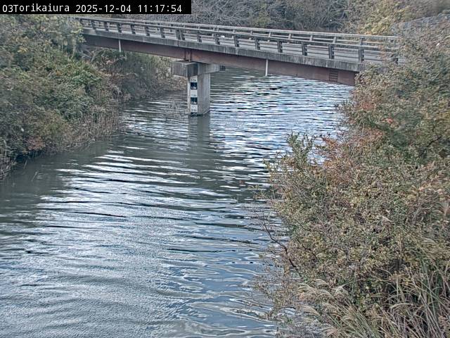 最新監視カメラ画像