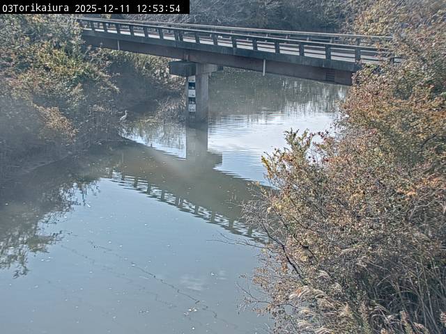 最新監視カメラ画像