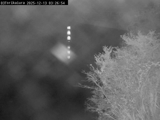 最新監視カメラ画像