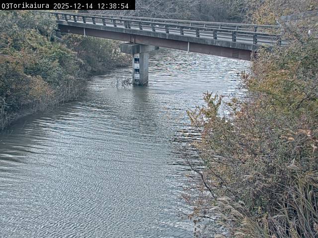 最新監視カメラ画像