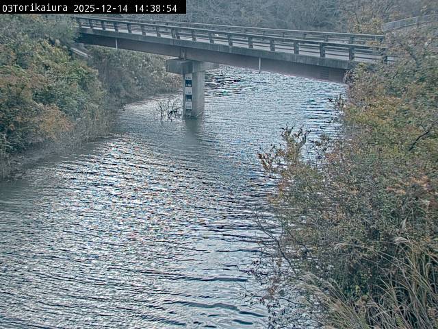 最新監視カメラ画像