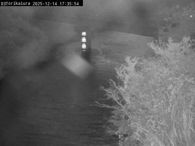 最新監視カメラ画像