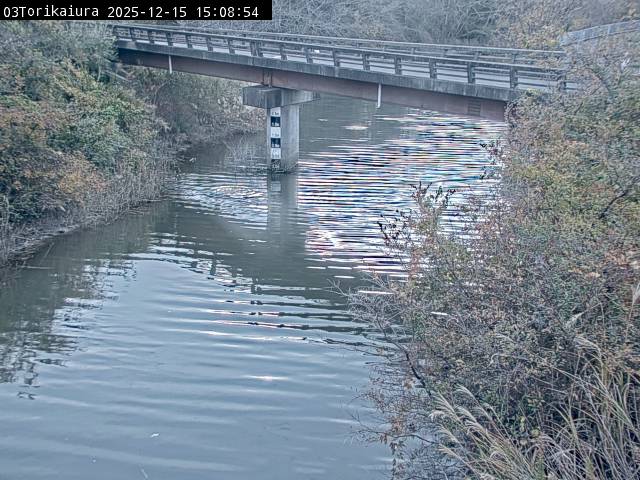 最新監視カメラ画像