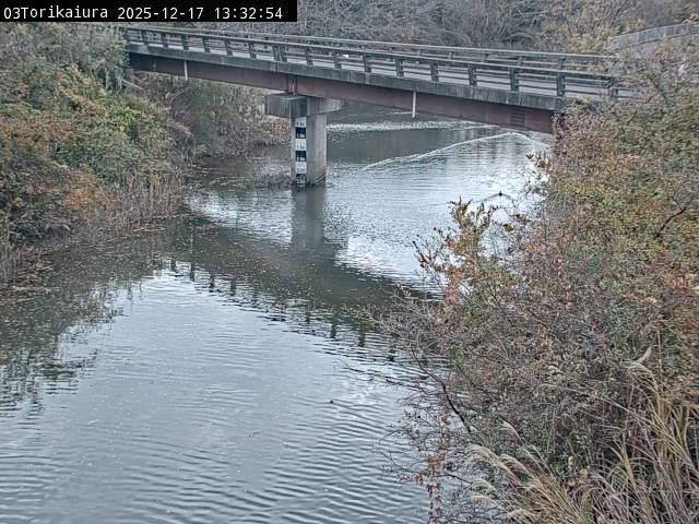 最新監視カメラ画像