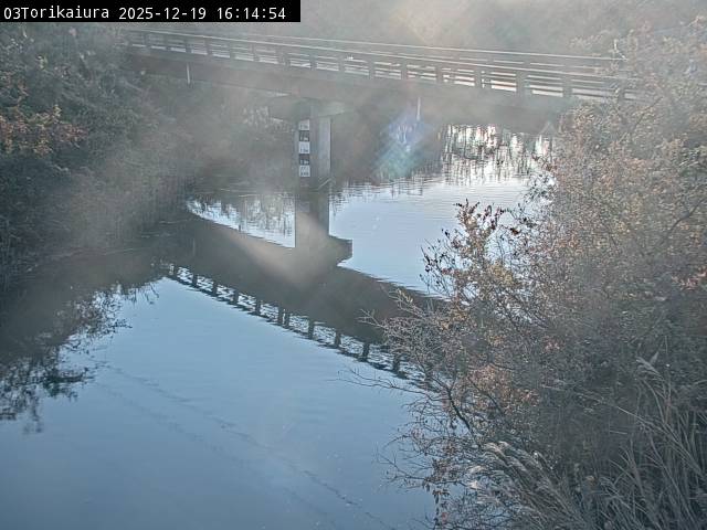 最新監視カメラ画像