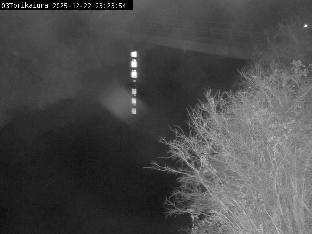 最新監視カメラ画像