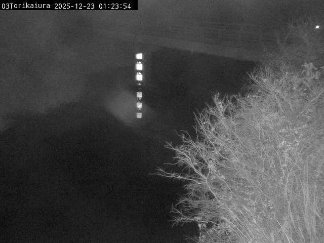 最新監視カメラ画像