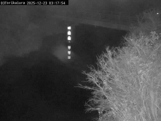 最新監視カメラ画像