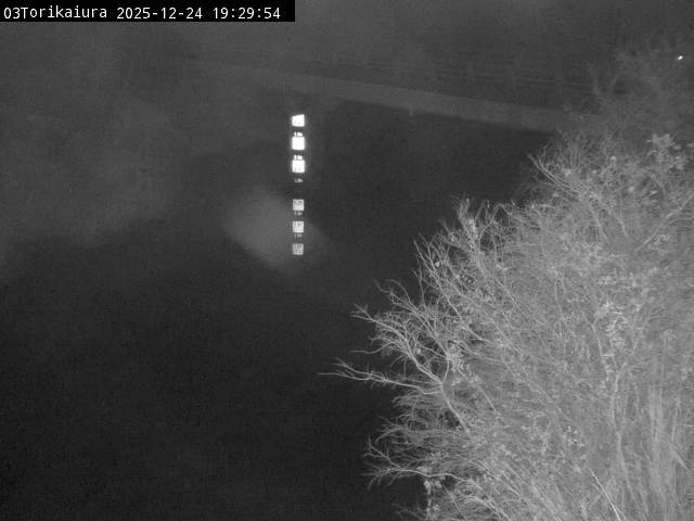 最新監視カメラ画像