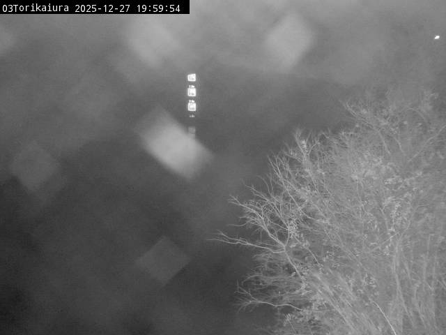 最新監視カメラ画像