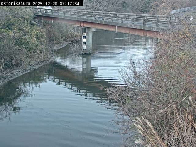 最新監視カメラ画像