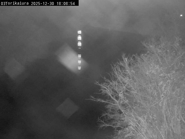 最新監視カメラ画像