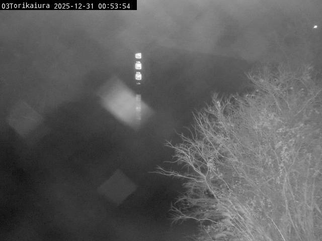 最新監視カメラ画像