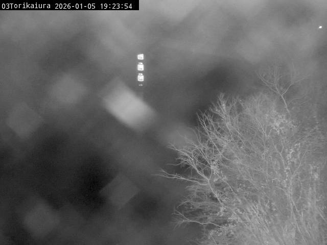 最新監視カメラ画像