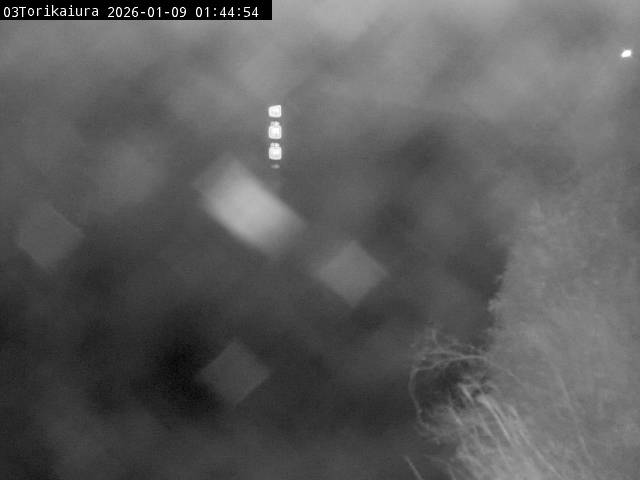 最新監視カメラ画像