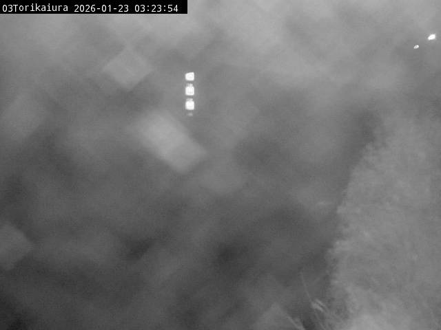 最新監視カメラ画像