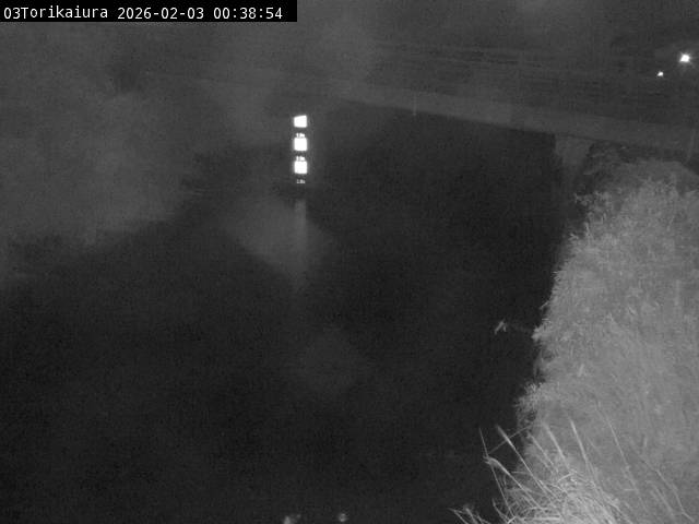 最新監視カメラ画像