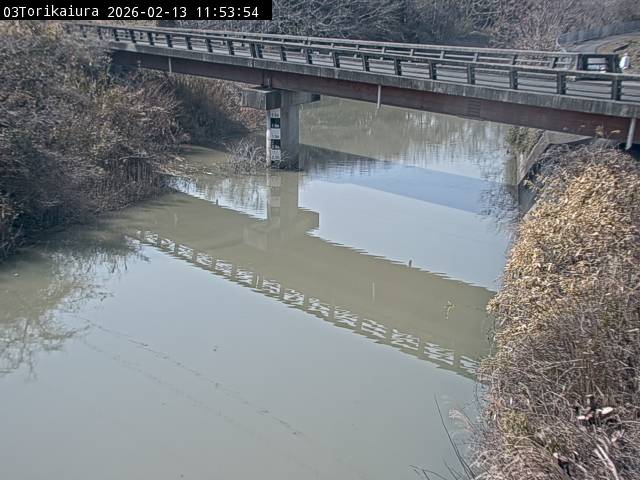 最新監視カメラ画像