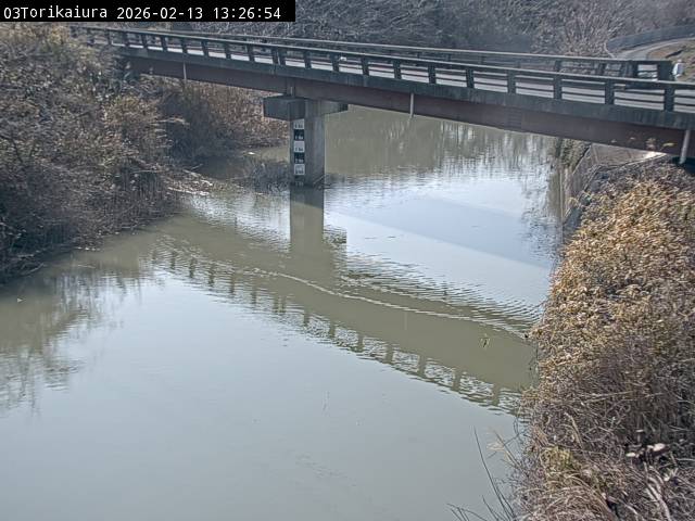 最新監視カメラ画像