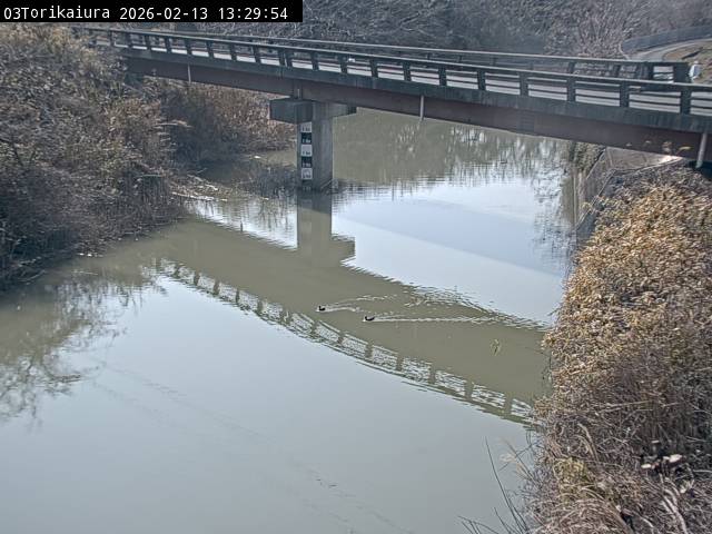 最新監視カメラ画像