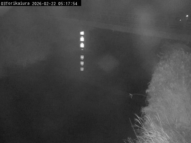 最新監視カメラ画像