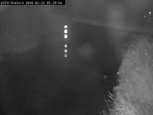 最新監視カメラ画像