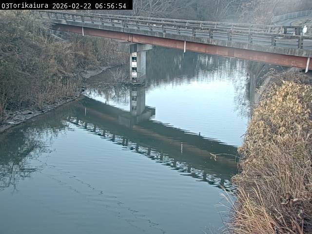 最新監視カメラ画像